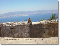 Affenfelsen Gibraltar